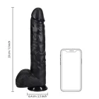 Dildo XL Recht met balzak 33 cm - Black