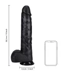 Dildo XXXL Recht met balzak 38 cm - Black