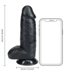 Dildo EXTRA DIK met Balzak 20,3 x 6,6 cm - Black