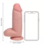 Dildo EXTRA DIK met Balzak 20,3 x 6,6 cm