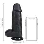 Dildo EXTRA DIK met balzak 25,4 x 8 cm - Black