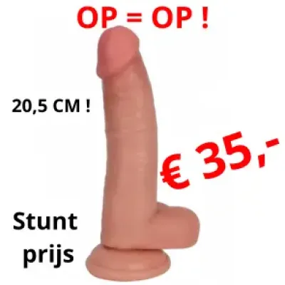 Realistische Dildo Curved 20,5cm blank