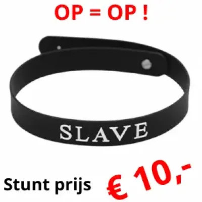 Silicone Collar -Slave