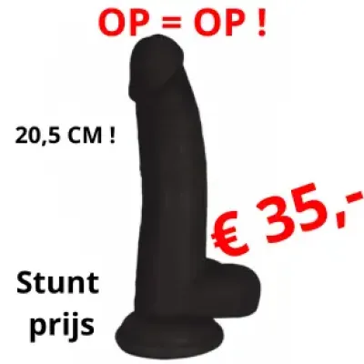 Realistische Dildo Curved 20,5cm Zwart Realistische Dildo Curved 20,5cm Zwart