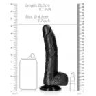 Realistische Curved Dildo met balzak Black 20,5 cm