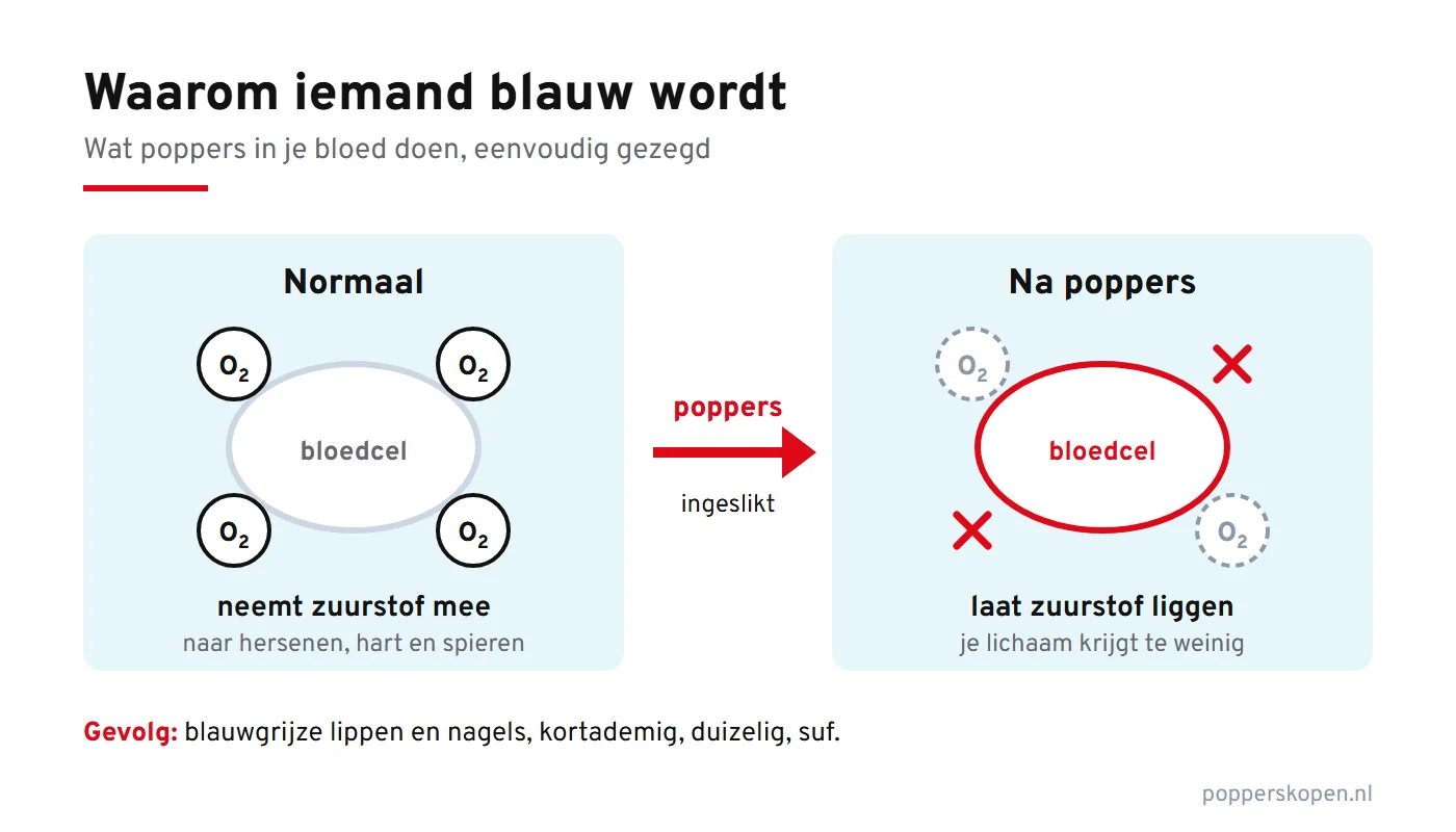 Twee vakken: links een bloedcel met vier zuurstofdeeltjes die meegaan, rechts na ingeslikte poppers een bloedcel waarvan de zuurstof is losgelaten, met als gevolg blauwgrijze lippen, kortademigheid en duizeligheid